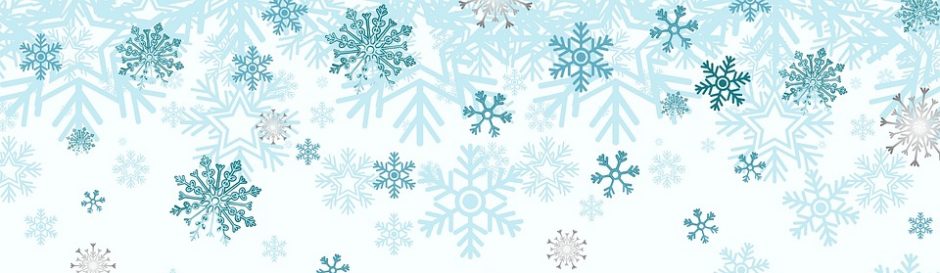 Skyview Middle School Library